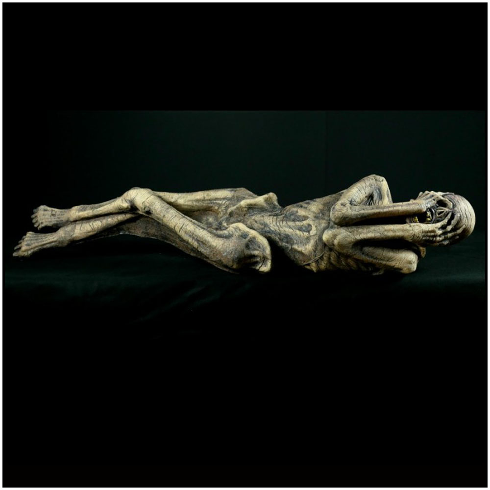 Distortions Prop - Life Size Ancient Mummy