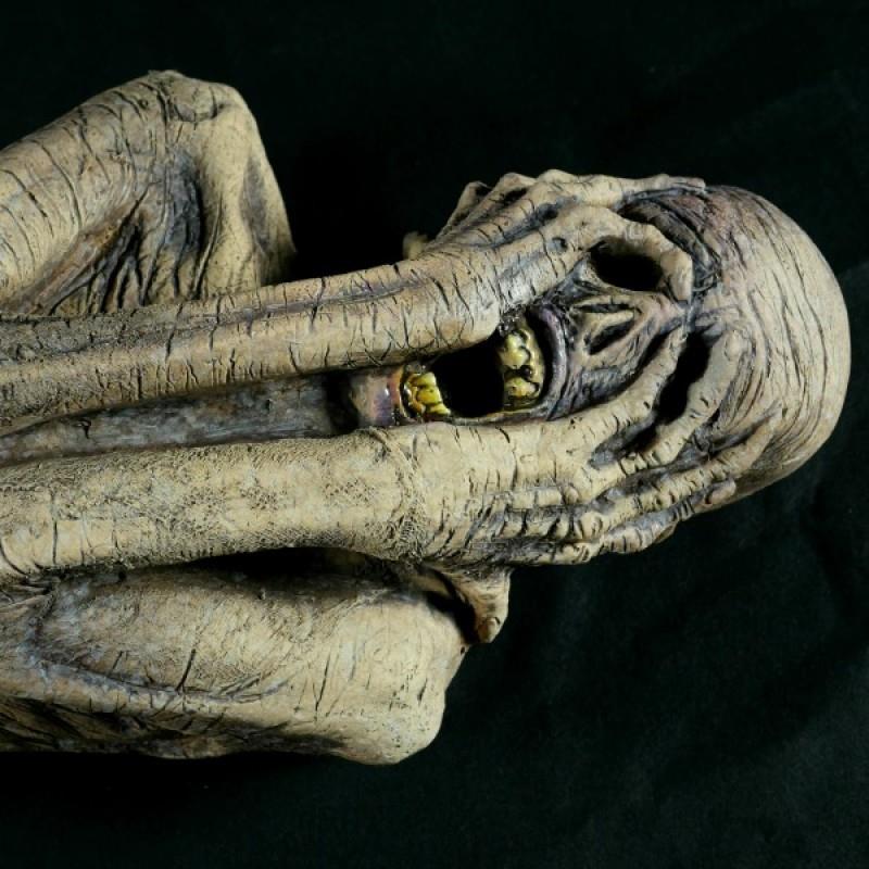 Distortions Prop - Life Size Ancient Mummy