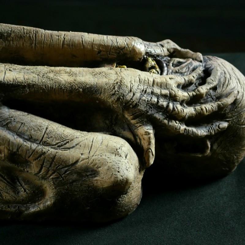 Distortions Prop - Life Size Ancient Mummy