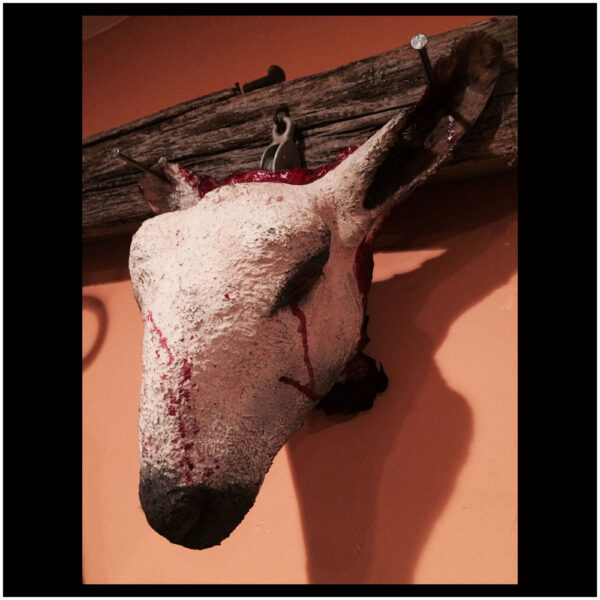 Severed Sheep Head-0