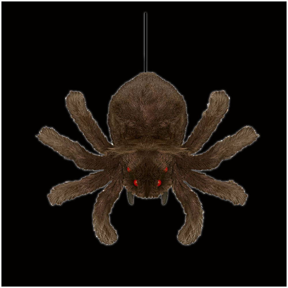 Hanging Brown Shaking Spider