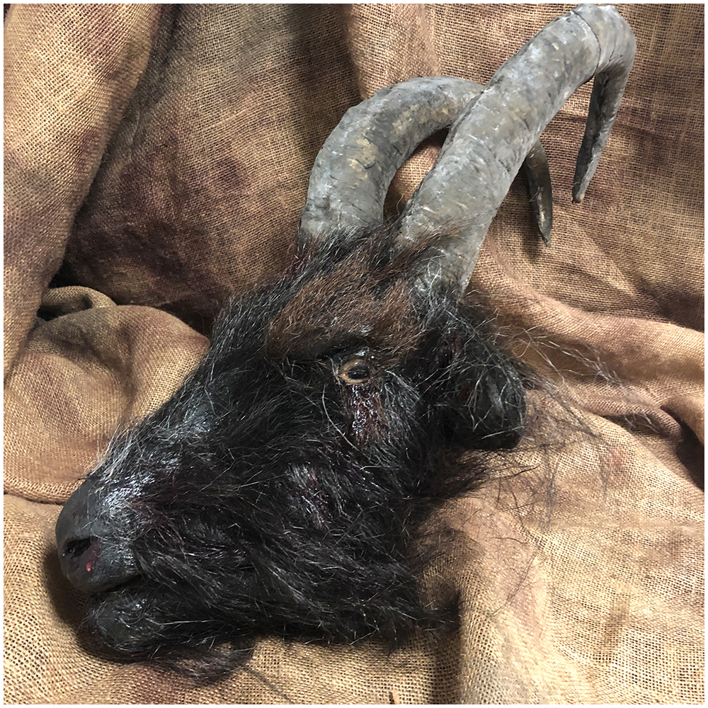 Severed Goat Head