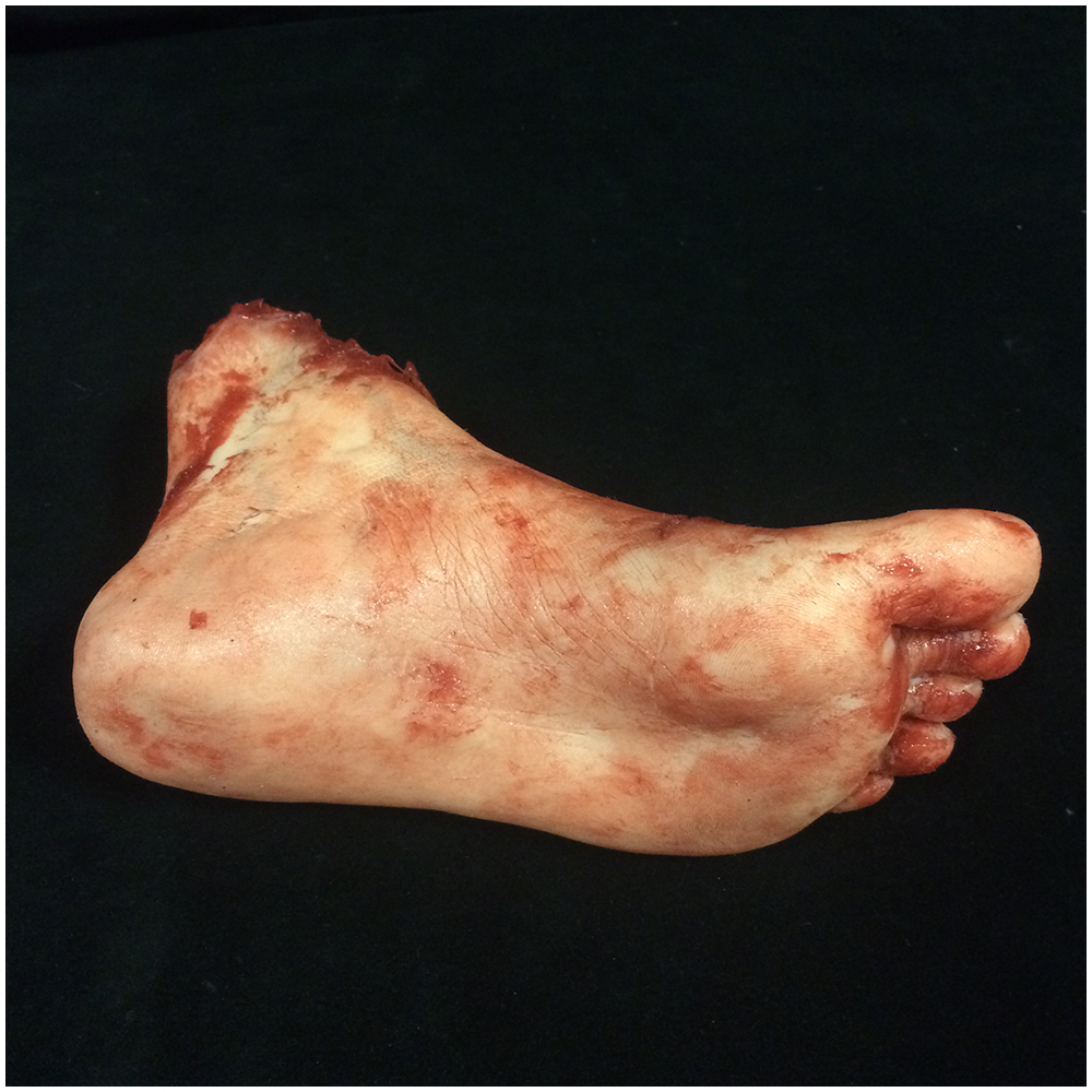 Silicone Severed Foot (One)