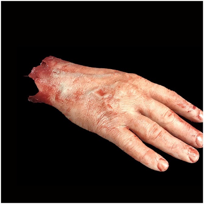 Severed Silicone Male Hand