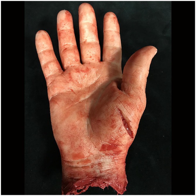 Severed Silicone Male Hand