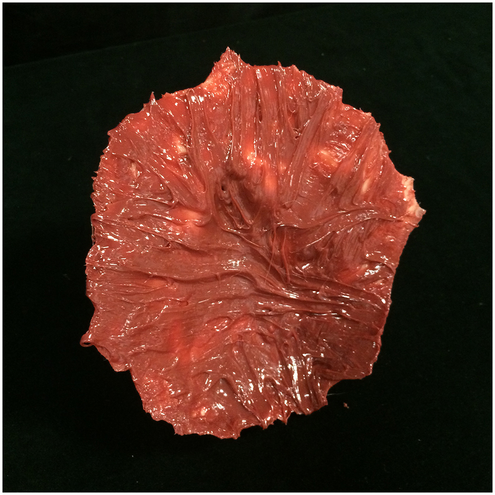 Skinned Silicone Old Man's Face