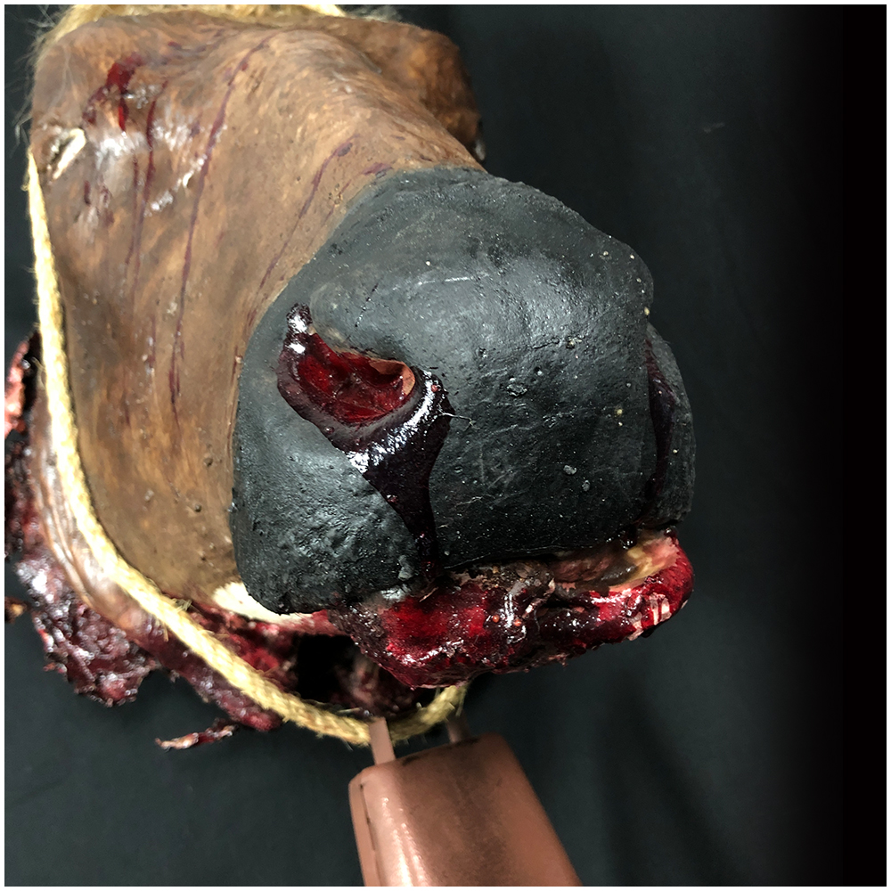 Severed Cow Head - Brown