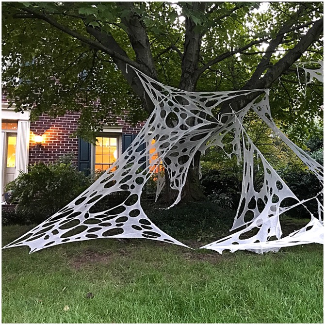 Giant Spider Web (per metre)