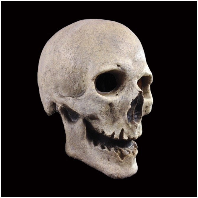 Antique Skull Mask