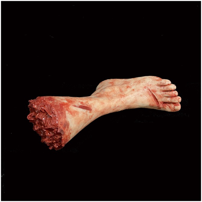 Silicone Severed Female Leg (Wounds)