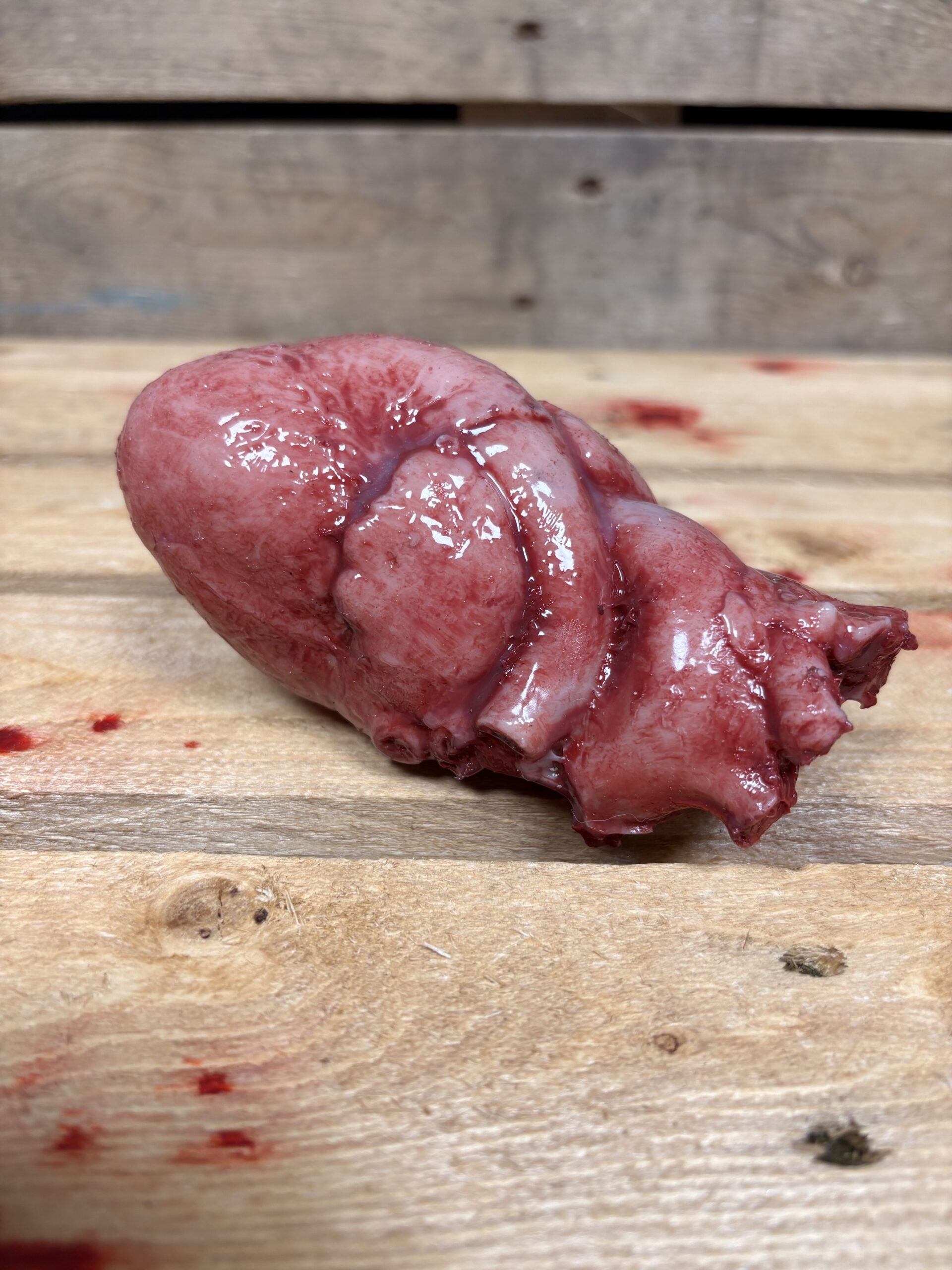 Silicone Human Heart