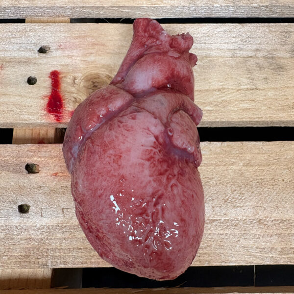 silicone human heart