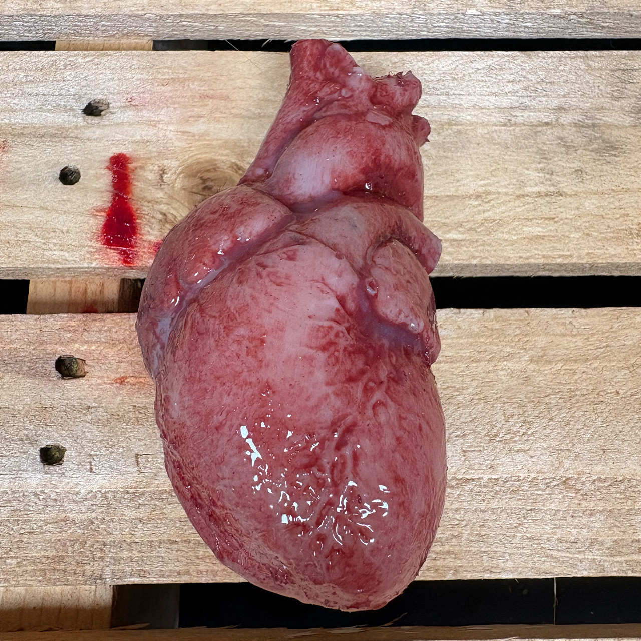 Silicone Human Heart
