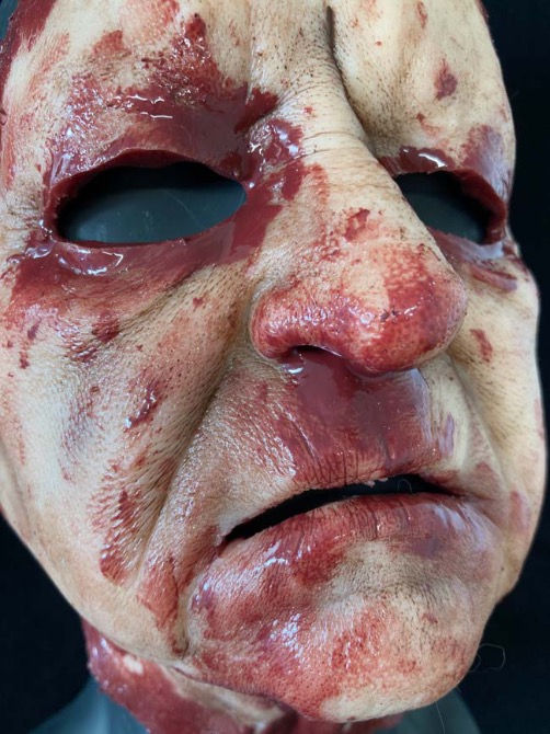 Silicone Skinned Face Mask - LORETTA