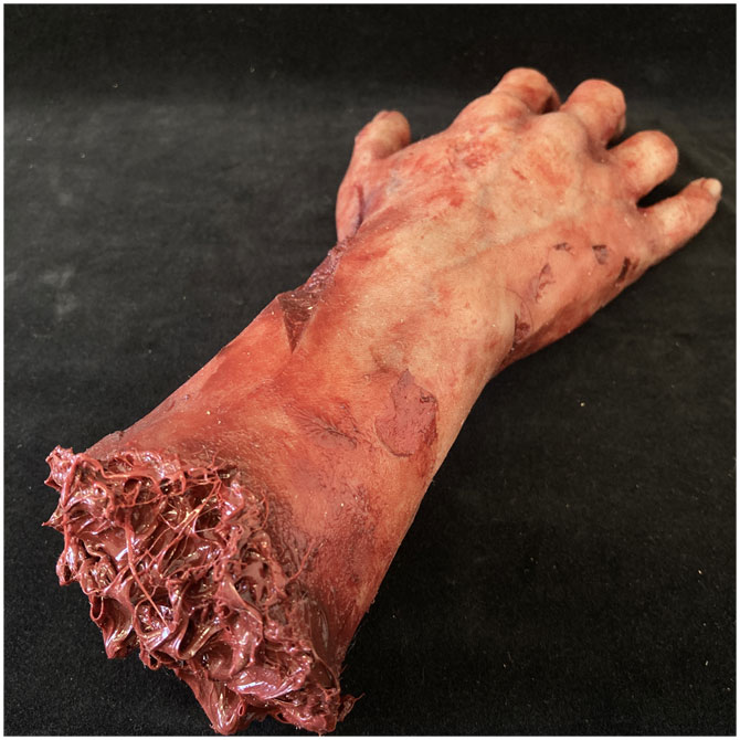 Silicone Severed Zombie Hand