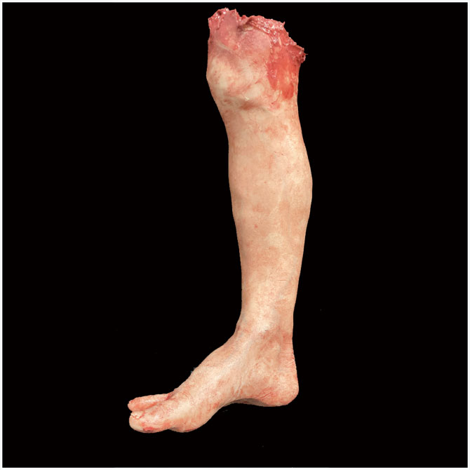 Silicone Severed Full Male Leg