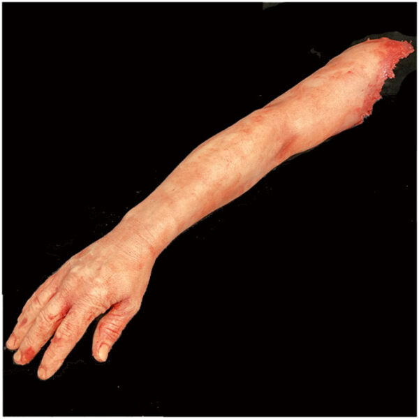 Silicone Severed Full Arm - professional special effects prop