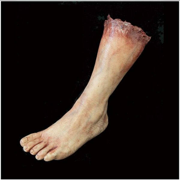 Silicone Severed Foot - Cadaver - halloween prop