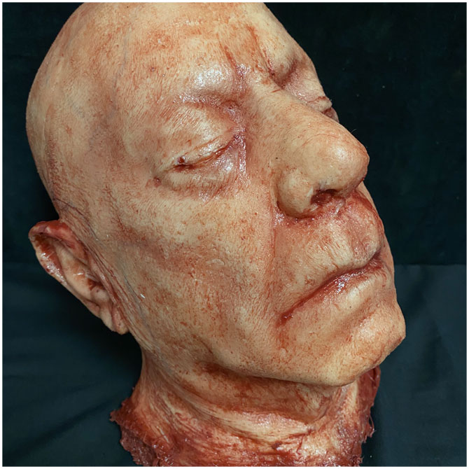 Silicone Severed Head - Clarence, Freshly Dead