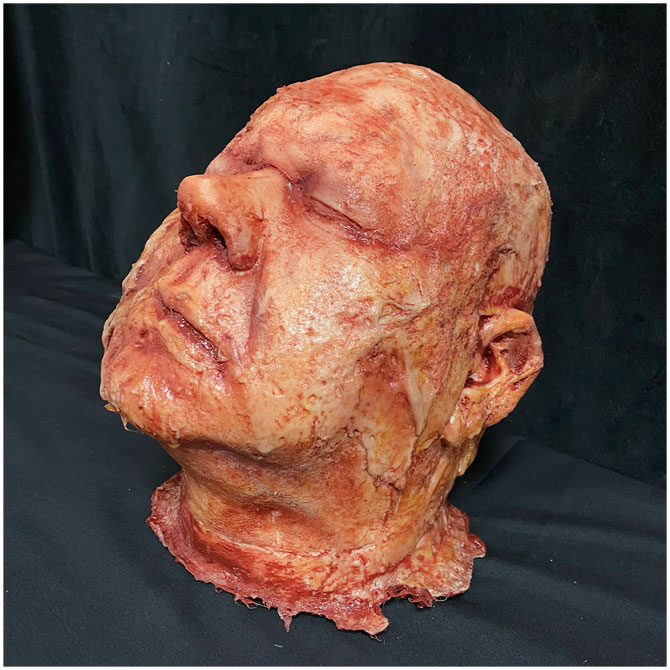 Silicone Severed Head - Abe, Burned