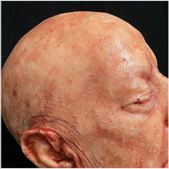 Silicone Severed Head - Clarence, Freshly Dead