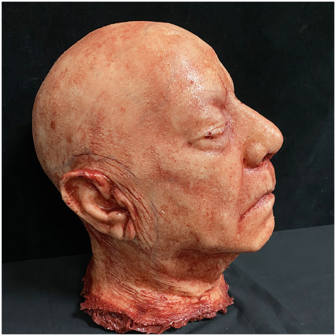 Silicone Severed Head - Clarence, Freshly Dead