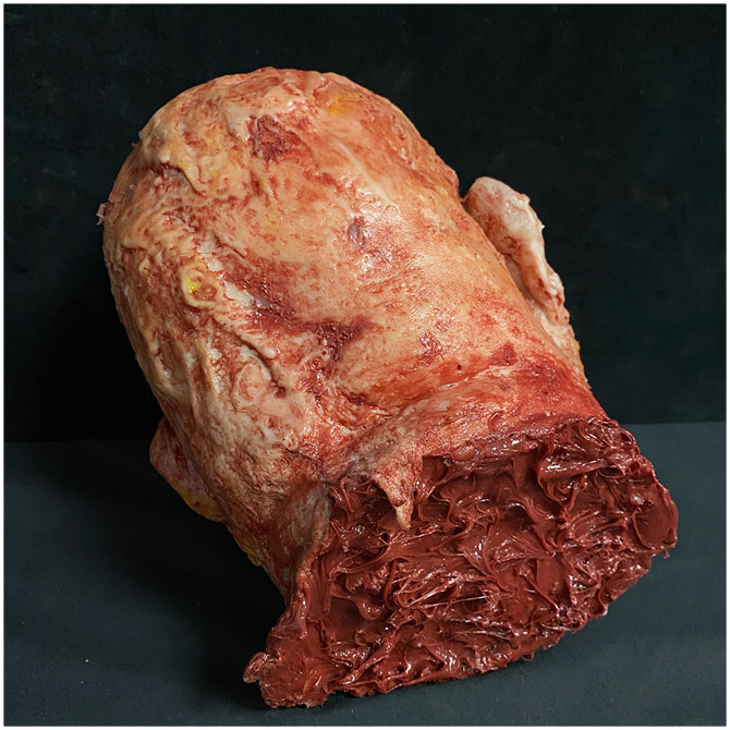 Silicone Severed Head - Abe, Burned