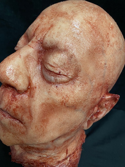 Silicone Severed Head - Clarence, Freshly Dead