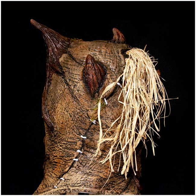 The Boor Tree Scarecrow Mask