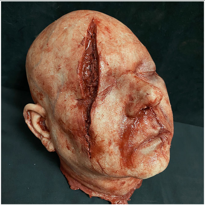 Silicone Severed Head - Abe, Gory