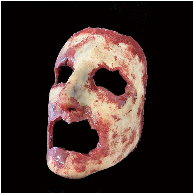 Silicone Skinned Face Mask - BRIAN, Jagged Eyes & Mouth