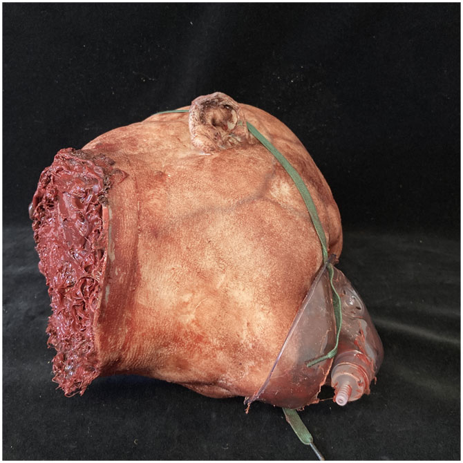 Silicone Severed Head - Abe, Patient