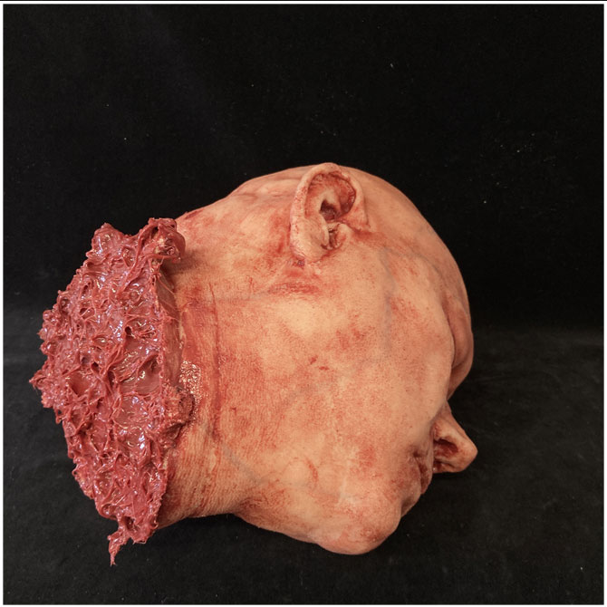 Silicone Severed Head - Abe, Flesh
