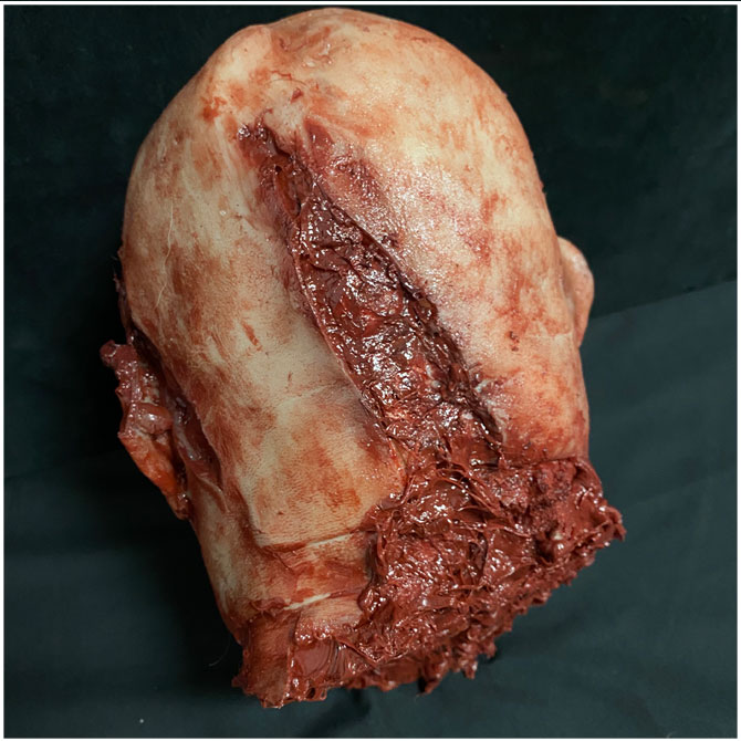 Silicone Severed Head - Abe, Gory