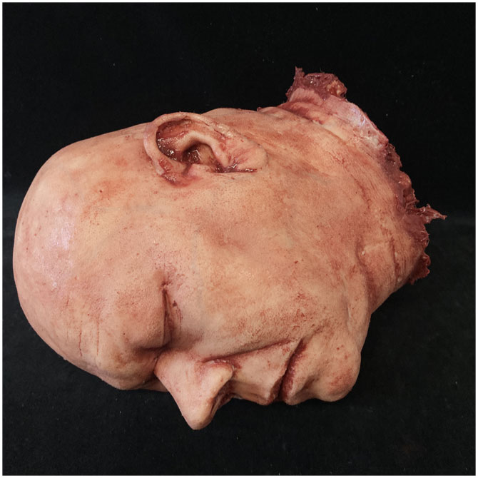 Silicone Severed Head - Abe, Flesh