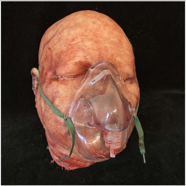 Silicone Severed Head - Abe, Patient