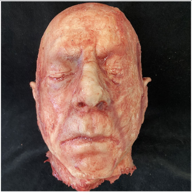 Silicone Severed Head - Clarence, burned