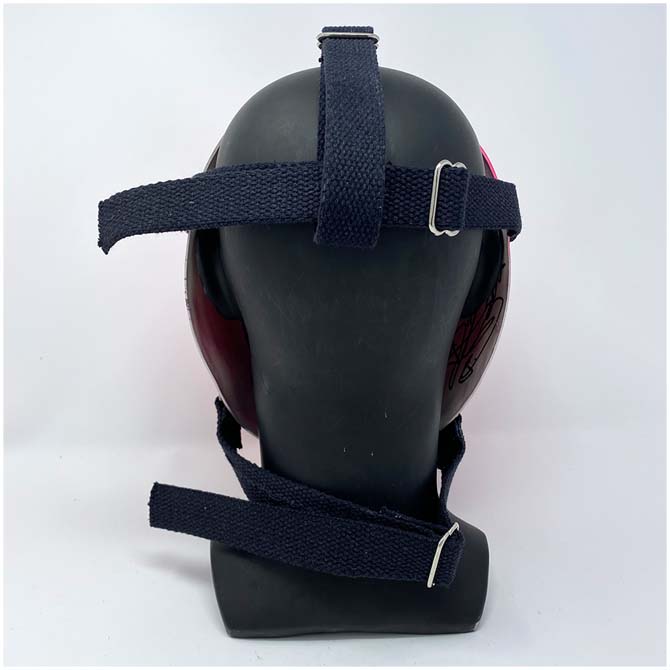 Brandon James Mask - Pink