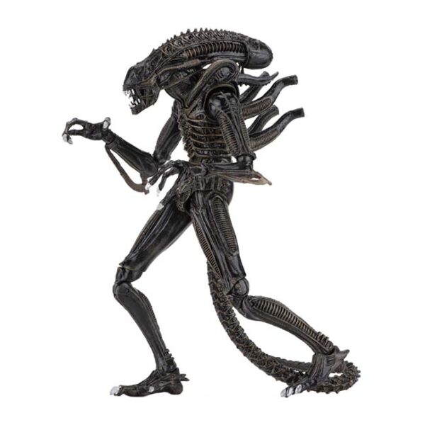 NECA Aliens (1986) Alien Warrior Ultimate 7 Inch Scale Action Figure (Brown)