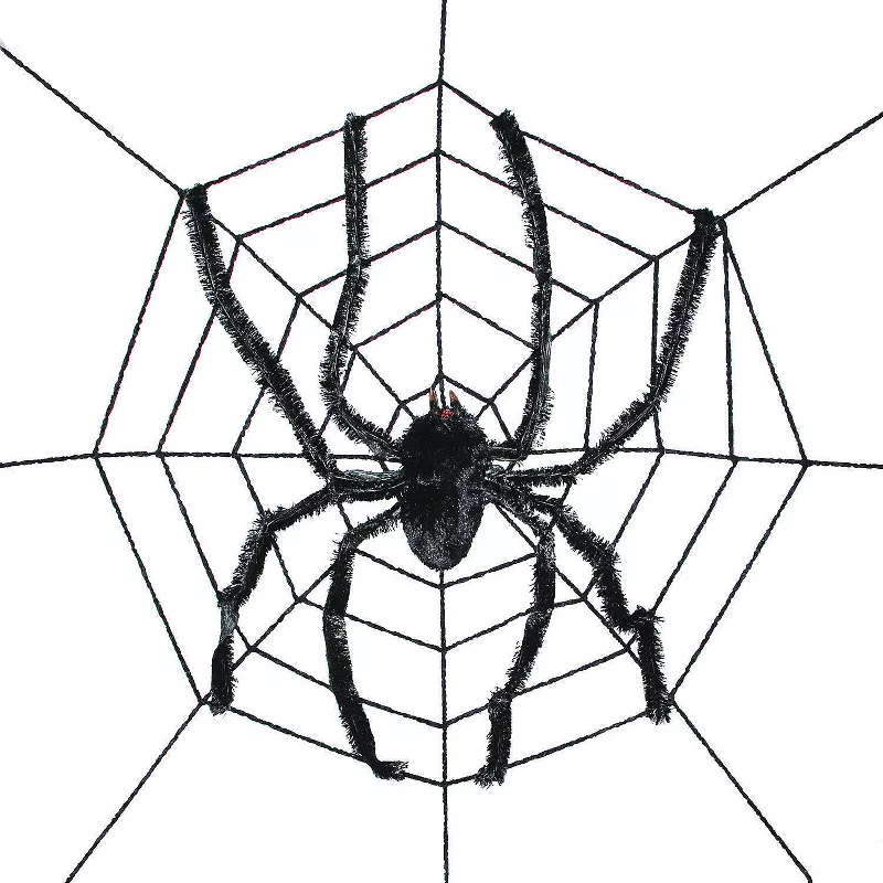 Giant Spider Web With Spider