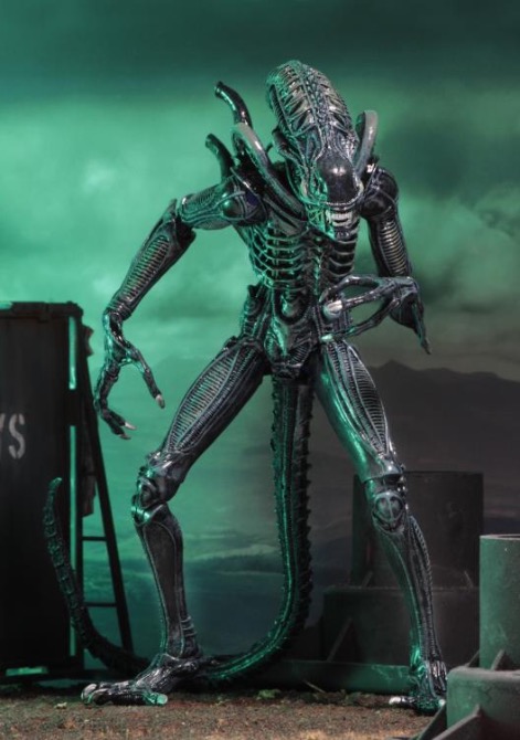 NECA Aliens (1986) Alien Warrior Ultimate 7 Inch Scale Action Figure (Blue)