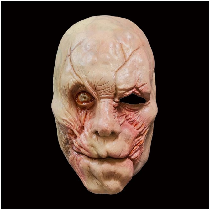 Tom Savini Faces of Horror Collection - Grafted Face Mask – Trick Or Treat  Studios