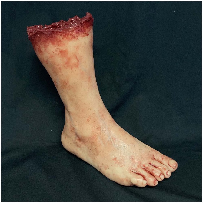 Silicone Severed Female Leg