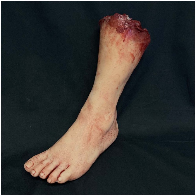 Silicone Severed Female Leg