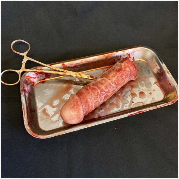 Surgical Tray with Silicone Severed Penis-0