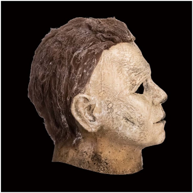 Halloween Ends Mask - Michael Myers
