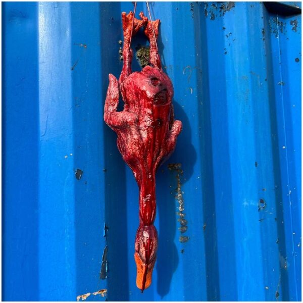 bloody hanging duck prop