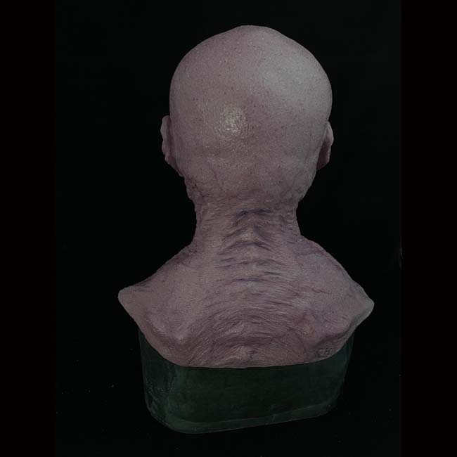 Bog Zombie Silicone Zombie Mask