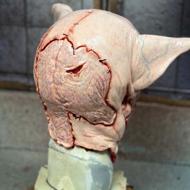 Piggy The Serial Killer - Silicone Pig Mask