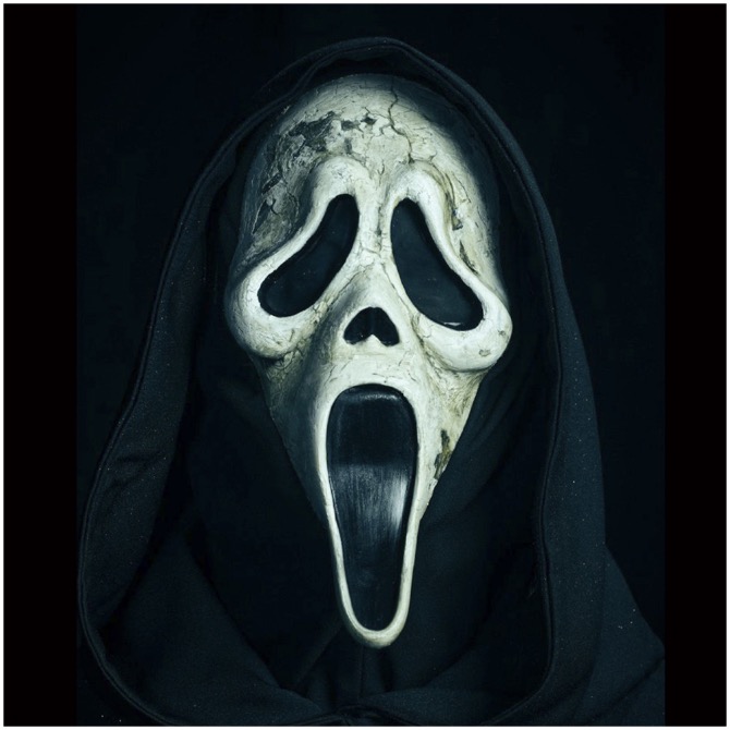 Fun World Officially Licensed Scream VI Ghost Face Aged Mask Costume  Accessory